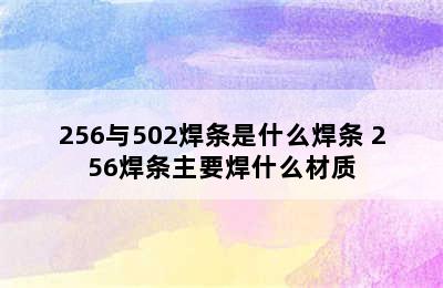 256与502焊条是什么焊条 256焊条主要焊什么材质